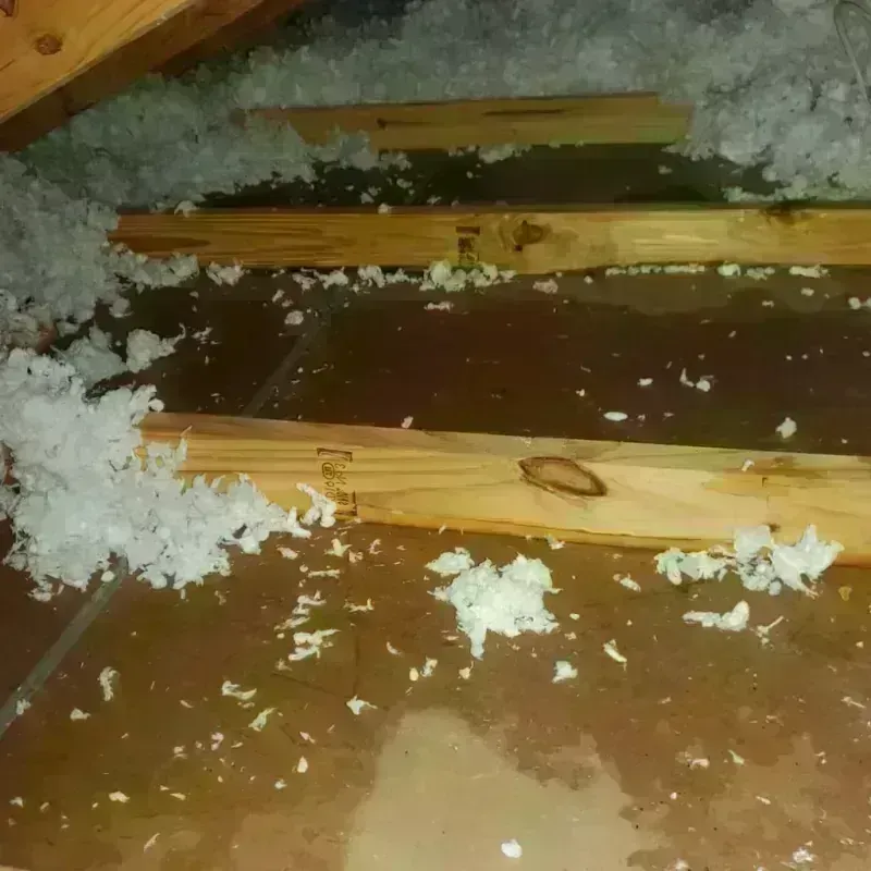 Attic Water Damage in Norfolk County, MA